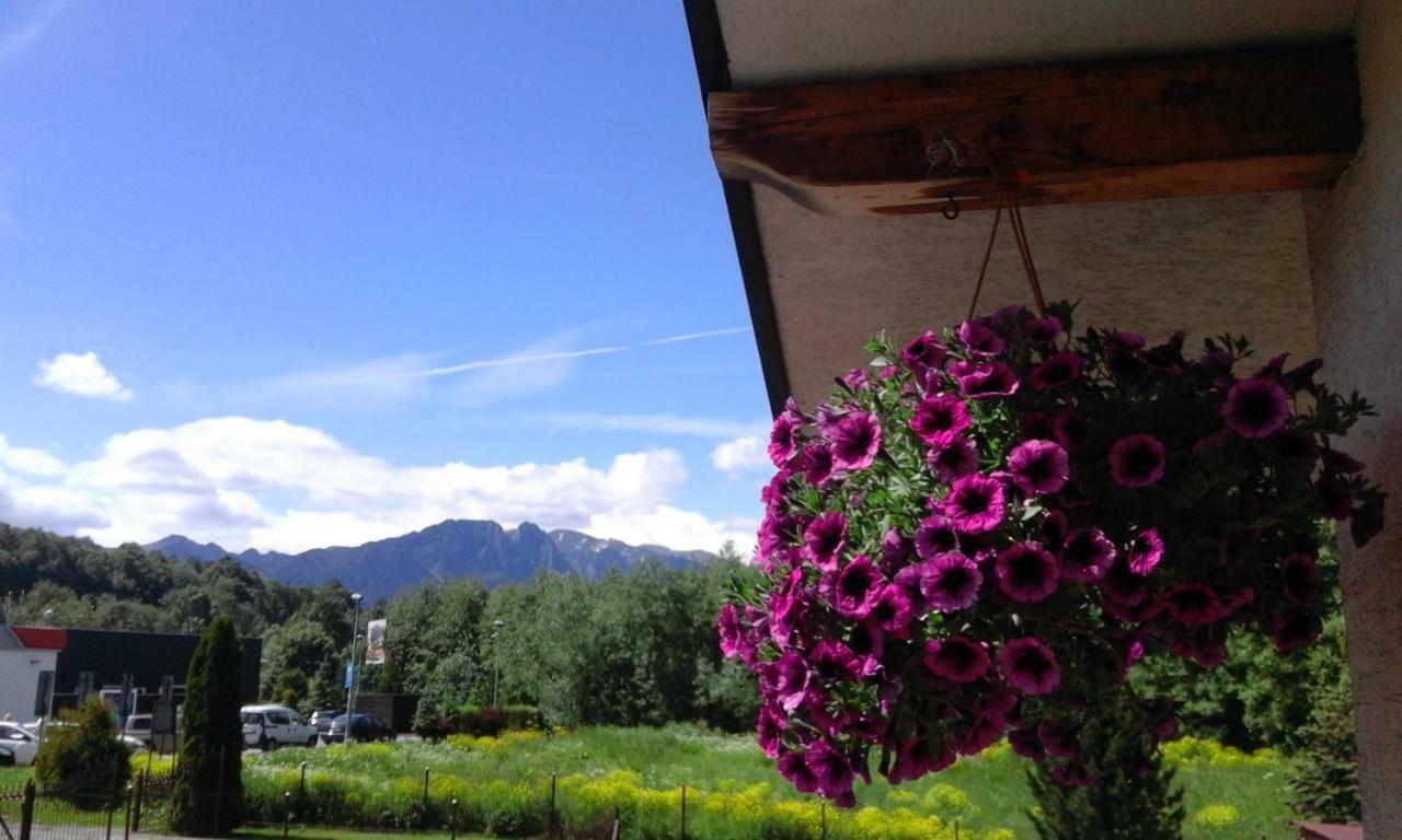 Pokoje Goscinne Agusia Zakopane Exteriér fotografie